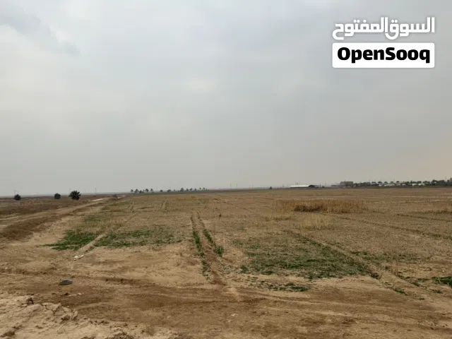 دوانم للبيع عدد 13 دونم