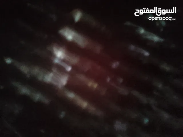 مطلوب كلب بسعر طري