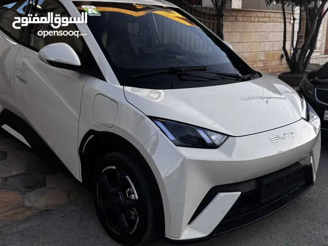 BYD Seagull 2023 405