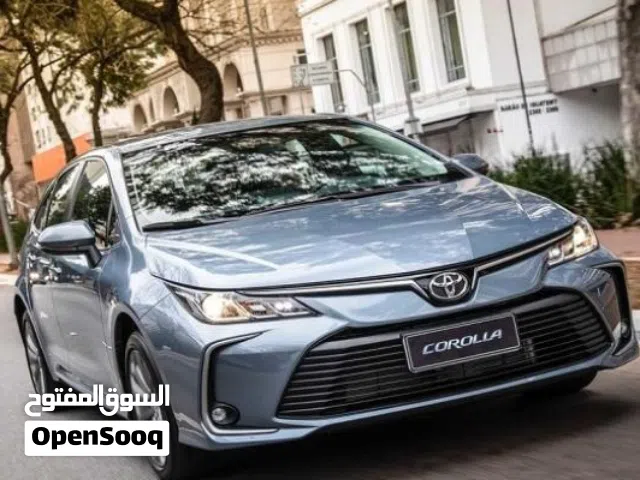 مطلوب كورلا نظيفه مكاني بصره كاش