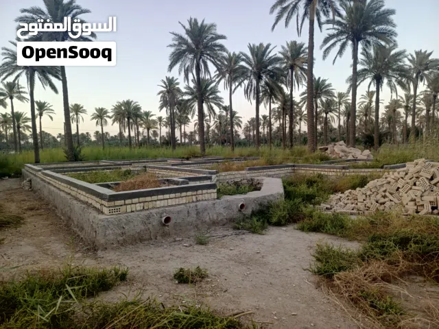 Mixed Use Land for Sale in Babylon Musayyib