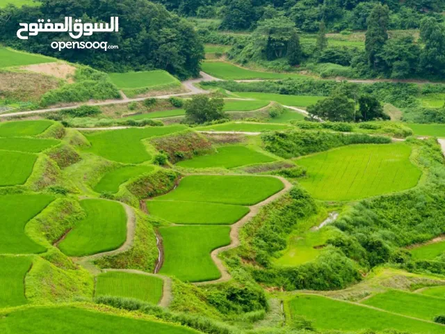 Mixed Use Land for Sale in Amman Al Bnayyat