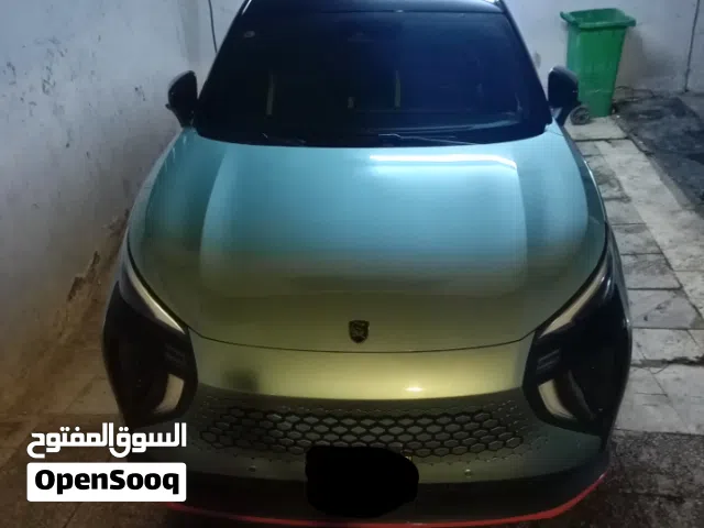 2024 Dongfeng Sky EV01