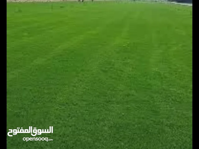 موجود بفضل الله اجود انواع الحشائش والنباتات الطبيعية وبءفضل الاسعار