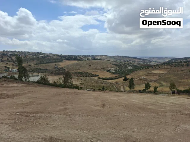 Farm Land for Sale in Jerash Al-Mastaba