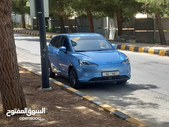 نيتا V البطارية الكبيرة 40 فحص كامل SOH 98 NETA V