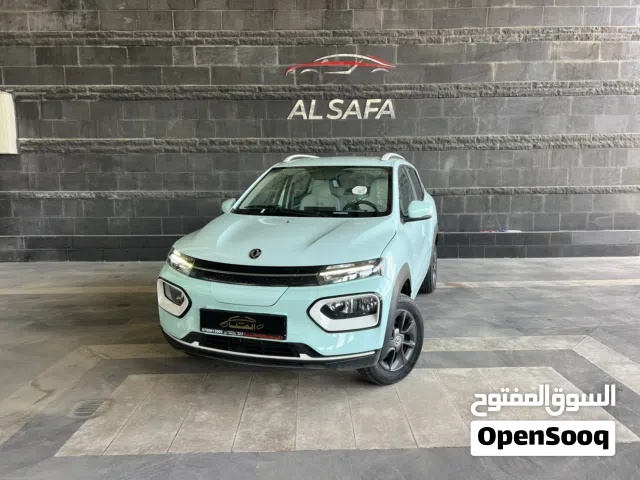 2023 Dongfeng EX1