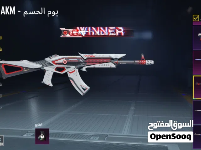 Pubg Accounts and Characters for Sale in Sharjah