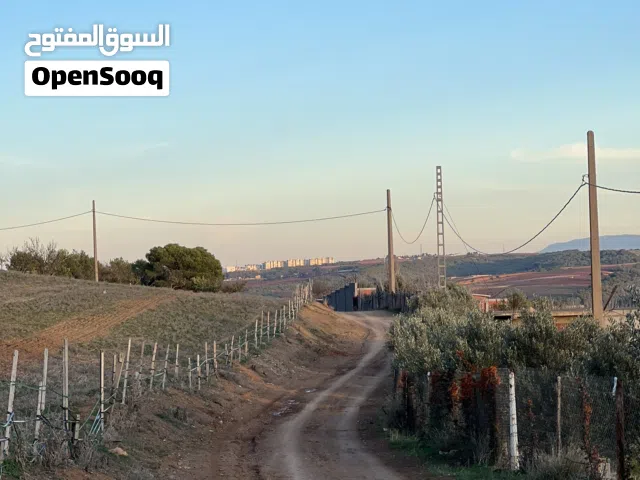 سلام عليكم خواتي فيها عقد فا شويوع