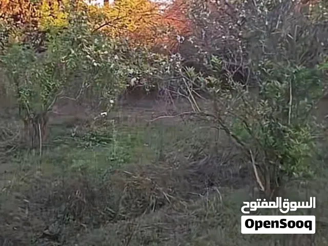 قطعة ارض زراعية للبيع