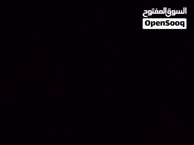 مطلوب كلب جرو مالينو أقرا الوصف