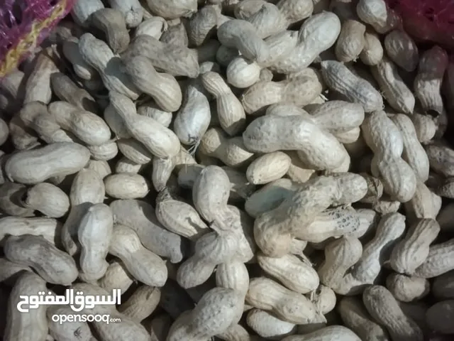 سوداني مفروز