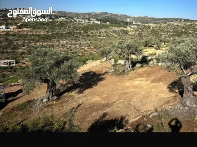 Residential Land for Sale in Ramallah and Al-Bireh Kaubar