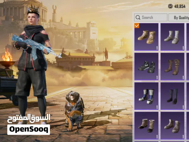 Pubg Accounts and Characters for Sale in Al Ain