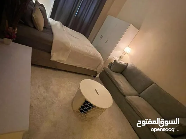 600ft Studio Apartments for Rent in Ajman Al Hamidiya