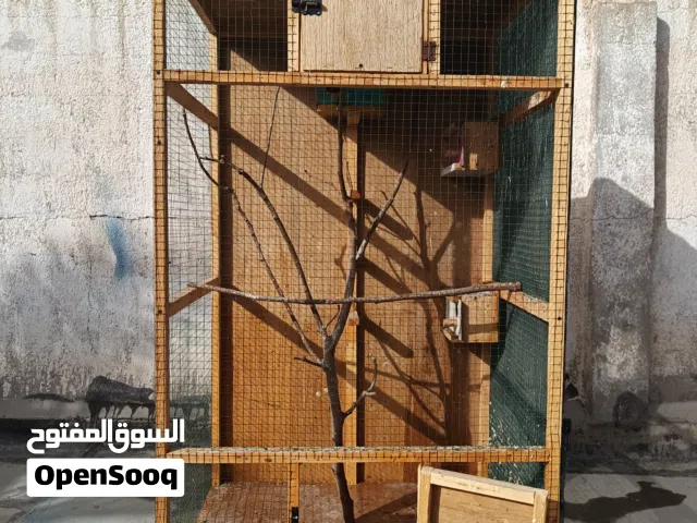 قفص طيور الحب للبيع