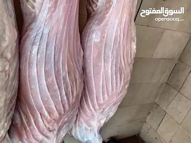 لحامين على استعداد التام لذبح جميع انواع المواشي  خروف.   عجل.   جدي.    ذبح في المنازل أضحيه