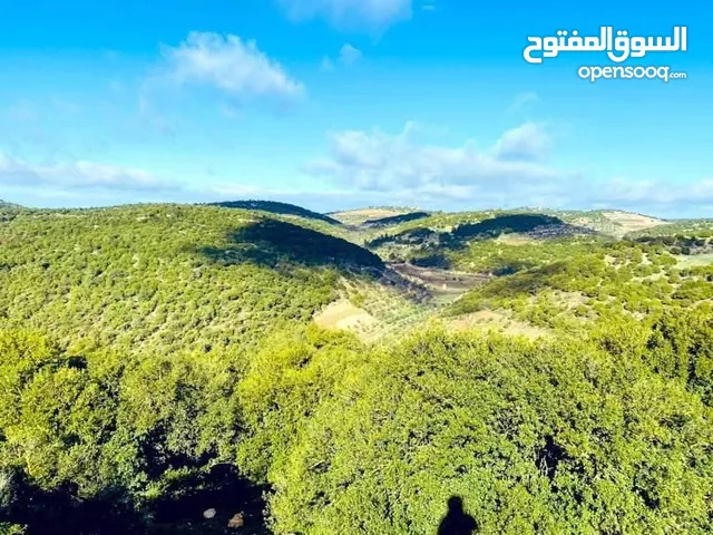 Mixed Use Land for Sale in Ajloun E'in Jana