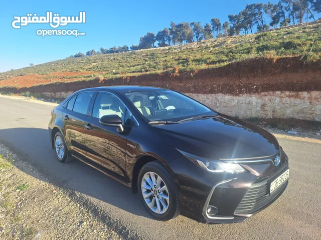 Used Toyota Corolla in Amman