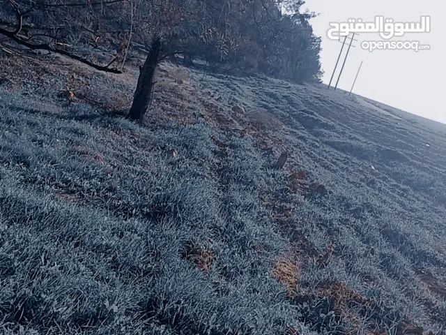 Residential Land for Sale in Ramtha Al Bweida