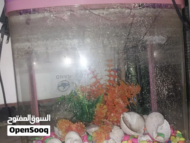 حوض للبيع واضح في الصور