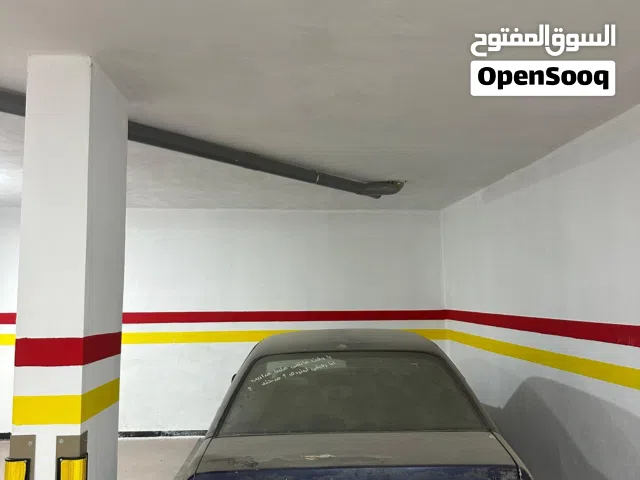 1993, أوبل, اوميجا