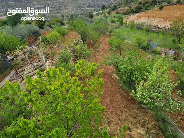 ارض للبيع بيت فجار منطقه الدلبه