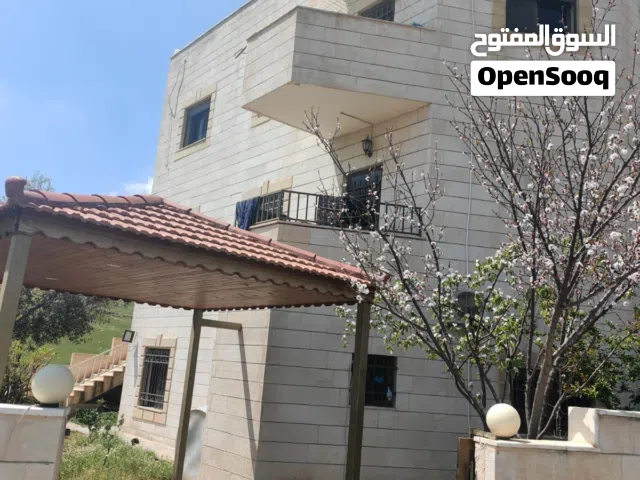 Building for Sale in Amman Ayn Rbat