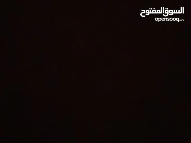 الاء جمال أحمد ابو كويك