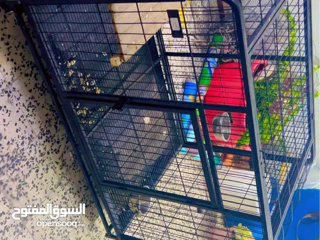 قفص كبير للحيوانات