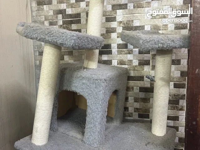 بيت مستعمل للقطط