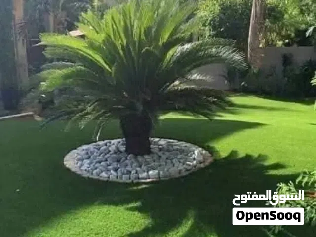 من مزارع القدومي نوفر لكم افضل اصناف النجيل الطبيعي ال m 5 ونوفر لكم افضل القعدات الخارجية