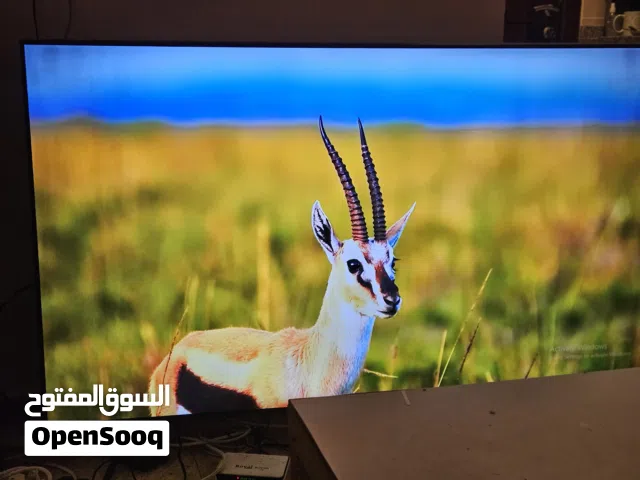 Samsung QLED 65 inch TV in Amman