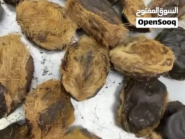 يوجد لدينا 20 كيلو مسك ملكي رقم واحد