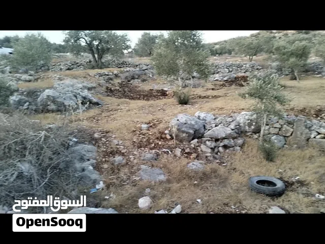 ارض للبيع بسعر مغري