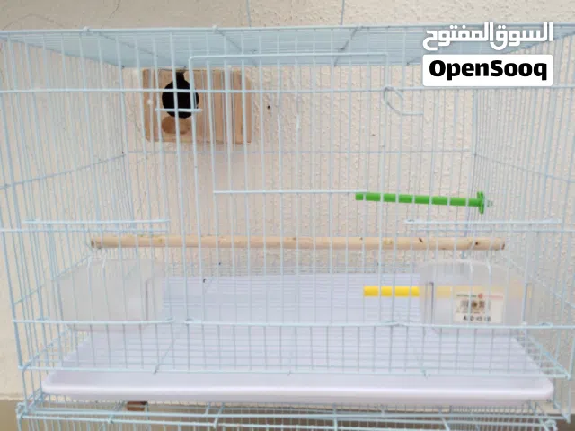 قفص للطيور
