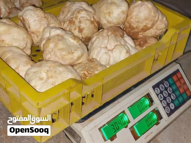 ترفاس فقع زبيدي