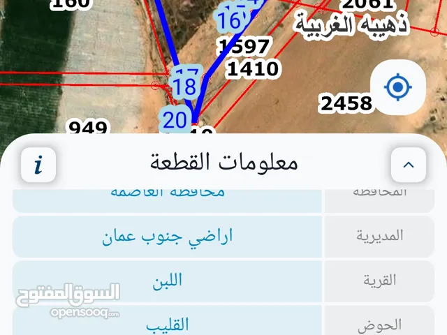 Farm Land for Sale in Amman Al Lubban