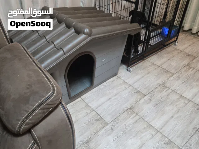 بيت للكلاب او للقطط