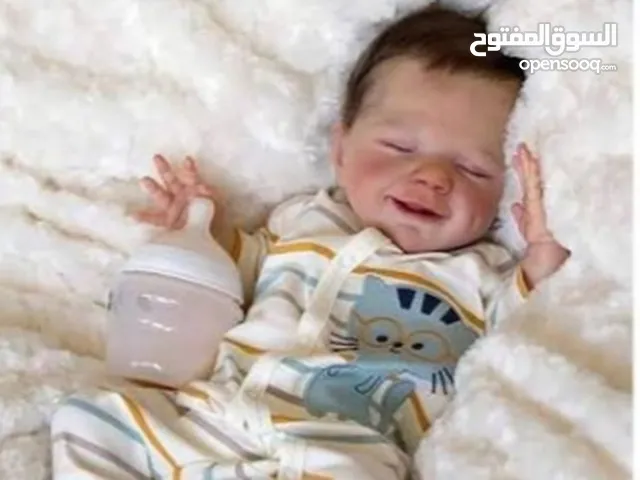نور الهدى