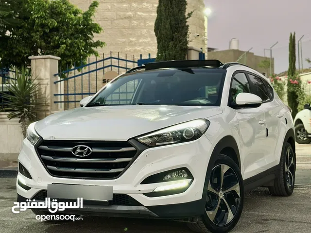 احمد سامي ابو غنيم