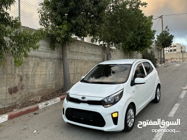 كيا مورننج 2019