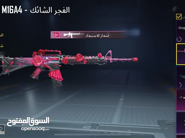 Pubg Accounts and Characters for Sale in Zarqa