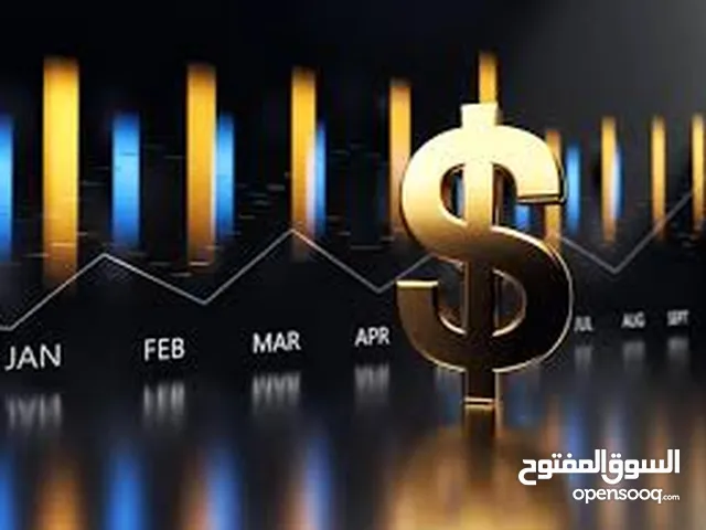 مشروع استثماري عقاري