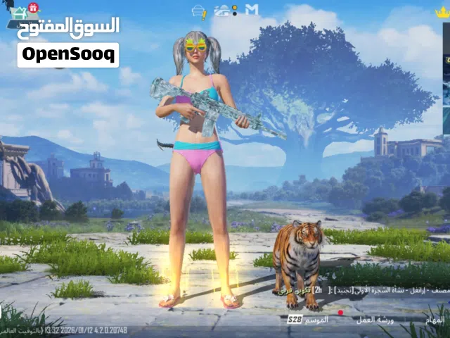 Pubg Accounts and Characters for Sale in Muharraq
