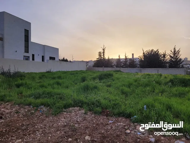 Residential Land for Sale in Amman Shafa Badran