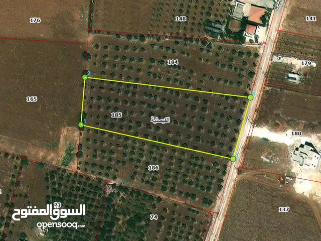 Farm Land for Sale in Madaba Al-Faisaliyyah