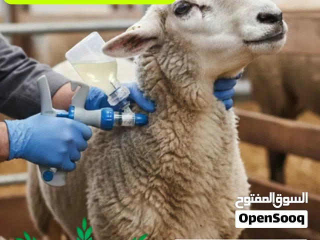 مسدس تحصين الحيوانات