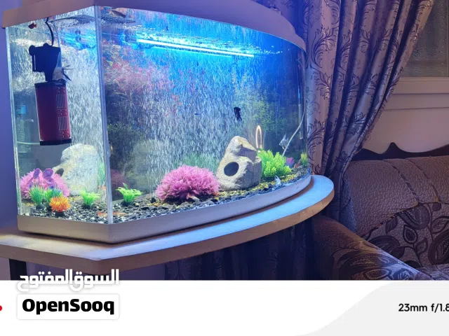 حوض اسماك حجم ميترو مع طاوله ورخامه باسماك تواصل واتس