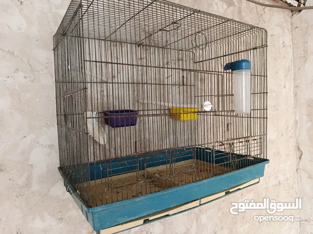 قفص عصافير كوكتيل